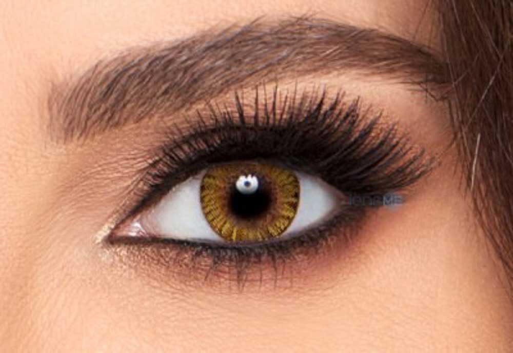 #color_PURE HAZEL