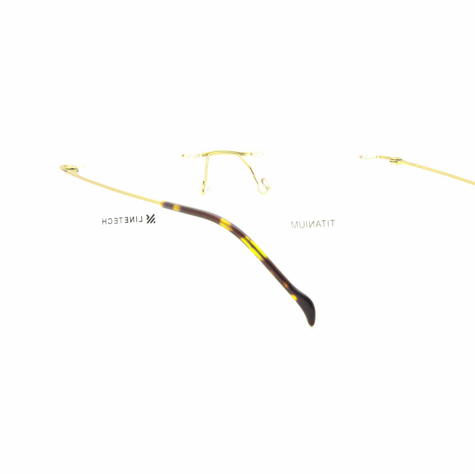 #color_C#360029