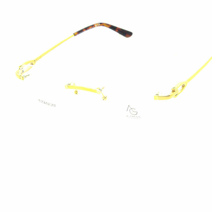 ألفردو جينيارد CT0290O